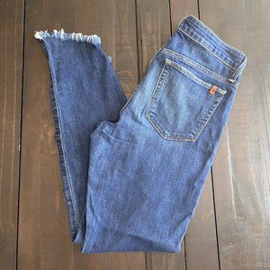 Women's Joe Jean's Skinny Ankle, Size 26